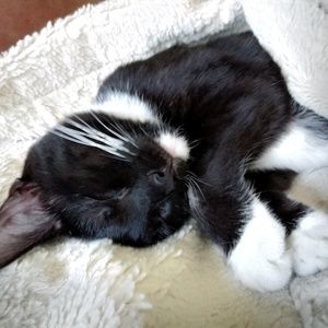 Meet your Posher, Mary